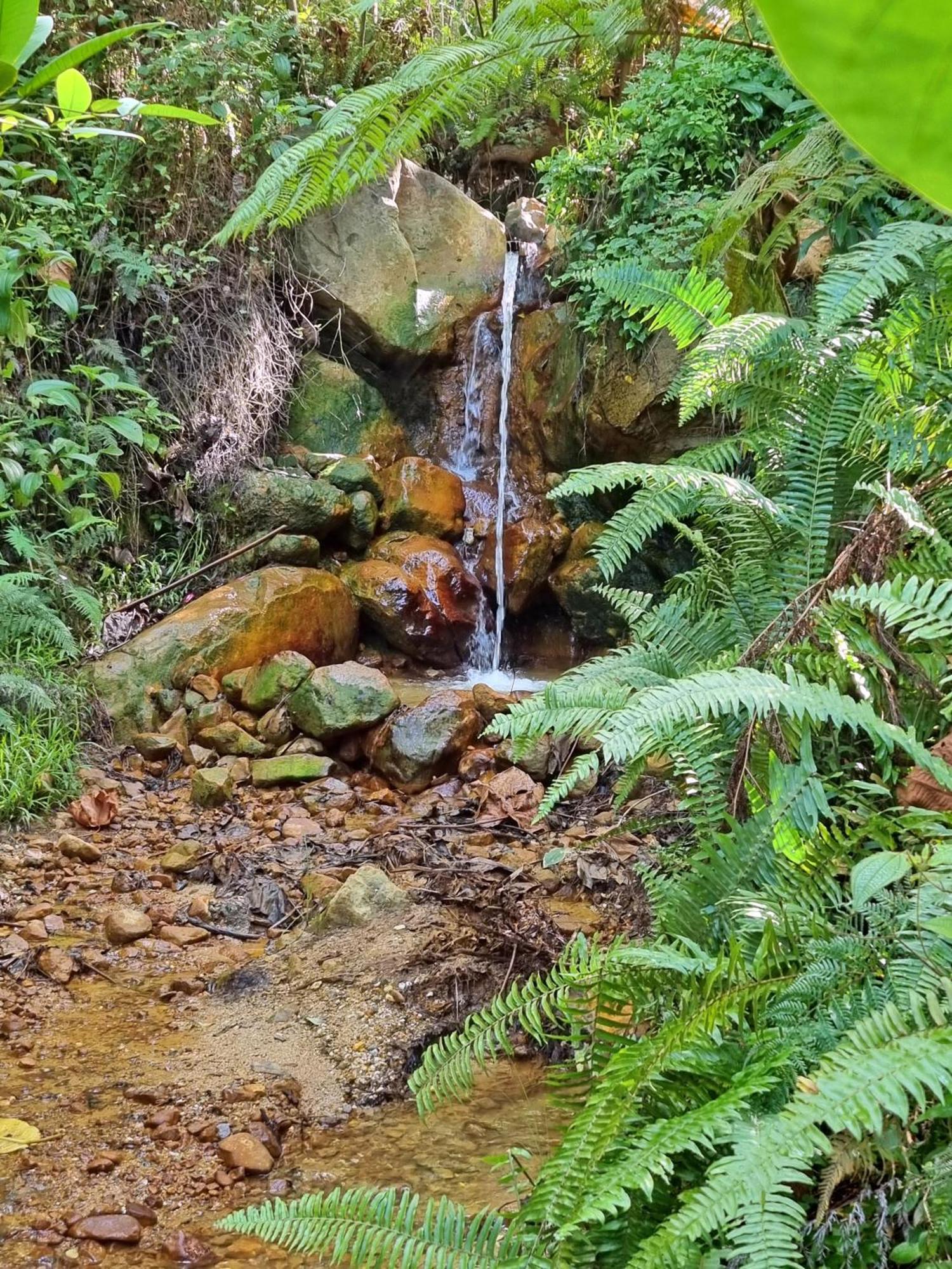 Coulibri Ridge Hotel Soufriere Екстериор снимка